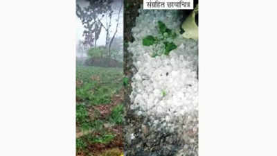 गारपीट, अवकाळी पाऊस झालेल्या जिल्ह्यांना दिलासा; भरपाईसाठी ११ कोटी