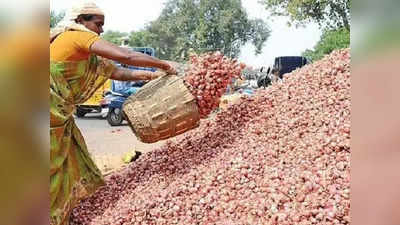 வெங்காய விவசாயத்தில் கொள்ளை லாபம்.. விவசாயிகள் மகிழ்ச்சி!