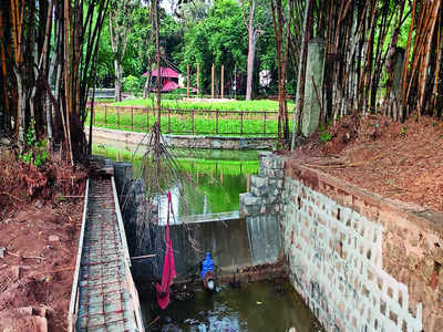 Cubbon Park: ಸ್ಮಾರ್ಟ್‌ ಸಿಟಿ ಯೋಜನೆಯಡಿ ಕಬ್ಬನ್‌ ಪಾರ್ಕ್‌ಗೆ ಹೊಸ ಲುಕ್‌