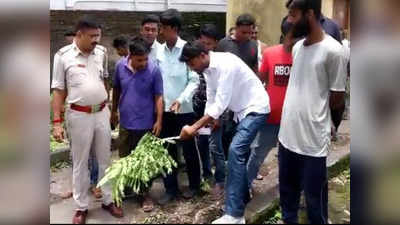 TMC: স্বাস্থ্যকেন্দ্রের গাছ কেটে বিক্রির অভিযোগ পঞ্চায়েতের বিরুদ্ধে, চাঞ্চল্য