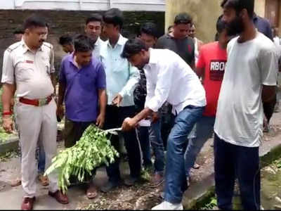 TMC: স্বাস্থ্যকেন্দ্রের গাছ কেটে বিক্রির অভিযোগ পঞ্চায়েতের বিরুদ্ধে, চাঞ্চল্য