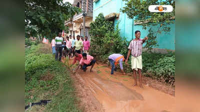 Hooghly News: রাস্তা তৈরির টাকা তছরুপের অভিযোগ, জমা জলে মাছ ছেড়ে-চারা পুঁতে বিক্ষোভ