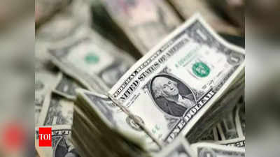 Foreign Currency Reserve: एक सप्ताह बढ़ने के बाद फिर घटा अपना विदेशी मुद्रा भंडार, जानिए कहां तक गिर गया