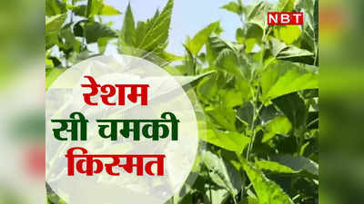 Maharashtra news: महाराष्ट्र के रूई गांव ने पकड़ा सिल्क रूट, सरपंच की पहल और गरीब किसान अब हर महीने कमा रहे सवा 2 करोड़