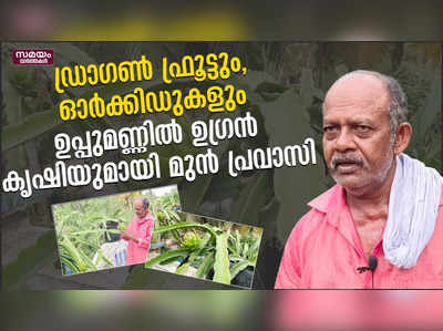 ഡ്രാഗൺ ഫ്രൂട്ടും, ഓർക്കിഡുകളും ഉപ്പുമണ്ണിൽ; ഉഗ്രൻ കൃഷിയുമായി മുൻ പ്രവാസി