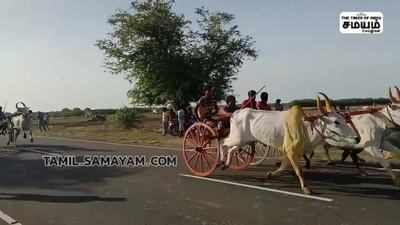 இராமநாதபுரம் மாவட்டத்தில் இரட்டை மாட்டு வண்டி பந்தயம்