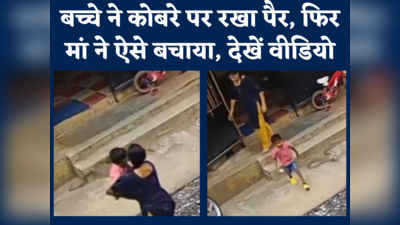 Karnataka Video: कर्नाटक में घर के बाहर निकल रहे कोबरे से मां ने बेटे को ऐसे बचाया, देखें वीडियो