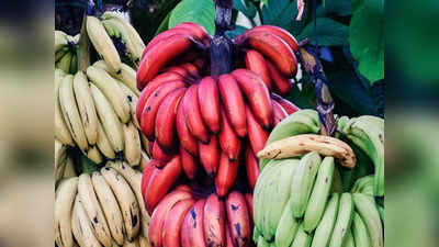 Red banana: ചെങ്കദളിയും അതിന്റെ 6 അത്ഭുതഗുണങ്ങളും