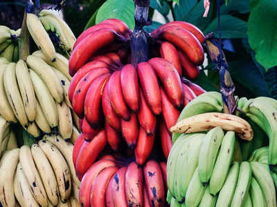 Red banana: ചെങ്കദളിയും അതിന്റെ 6 അത്ഭുതഗുണങ്ങളും