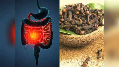 Gut Health: पेट में सूजन है कब्ज-अपच जैसे इन 6 गंभीर रोगों का जड़, किचन की इन 5 चीजों से करें बचाव