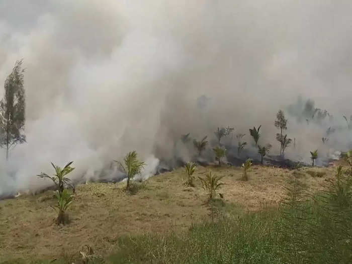 Nathapettai Coconut Grove Fire