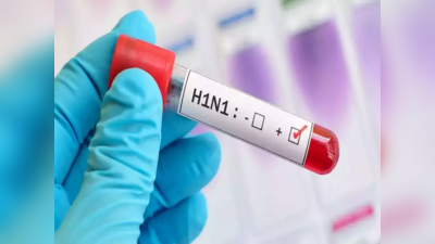 Swine Flu Case In Adilabad: ఆదిలాబాద్‌లో స్వైన్ ఫ్లూ కేసు నమోదు..