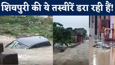 Shivpuri Flood News: शिवपुरी में भारी बारिश से बिगड़े हालात, डूब गई कारें, मगरमच्छ निकलने से हड़कंप