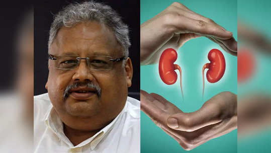 Rakesh Jhunjhunwala Death Reason : राकेश झुनझुनवाला यांचे निधन; किडनी करता 'सुरक्षा कवच' आहेत या 5 गोष्टी