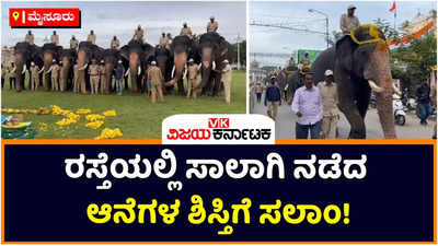 Mysuru Dasara: ದಸರಾ ಗಜಪಡೆ ತಾಲೀಮು ಆರಂಭ! ಸಾಲಾಗಿ ಹೋಗುತ್ತಿದ್ದ ಆನೆಗಳ ಕಣ್ತುಂಬಿಕೊಂಡ ಜನ