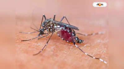 Dengue: মশাবাহিত রোগ নিয়ে সতর্ক করা হল ১২ পুরসভাকে