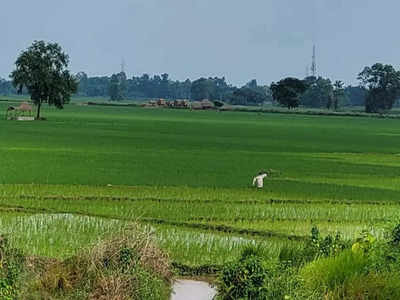 Bihar Weather Forecast : रिमझिम फुहारों के बीच पटना में सुबह से मौसम सुहाना, बारिश को लेकर क्या है अलर्ट?