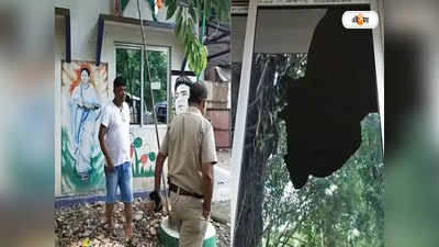 TMC Party Office: রাতের অন্ধকারে তৃণমূলের দলীয় কার্যালয়ে হামলা, চাঞ্চল্য চালসায়