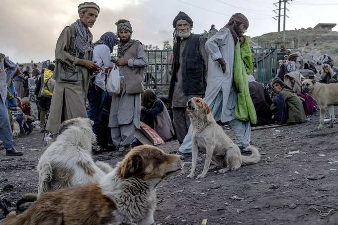 Despair and poverty fuel drug use in Afghanistan