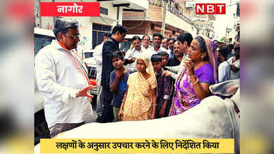 Nagaur News : कृषि मंत्री कटारिया को दिखीं Lumpy Virus से पीड़ित गायें, तुरंत करवाया इलाज