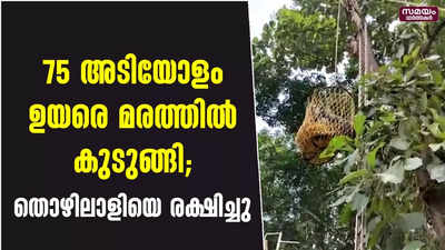 75 അടിയോളം ഉയരെ മരത്തില്‍ കുടുങ്ങി; തൊഴിലാളിയെ രക്ഷിച്ചു