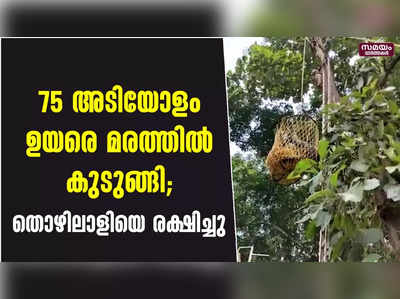 75 അടിയോളം ഉയരെ മരത്തില്‍ കുടുങ്ങി; തൊഴിലാളിയെ രക്ഷിച്ചു