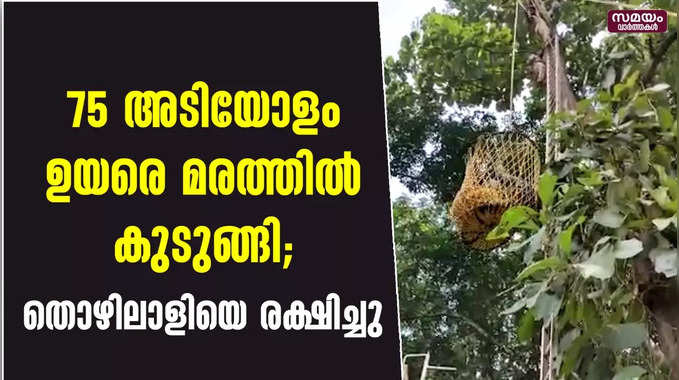 75 അടിയോളം ഉയരെ മരത്തില്‍ കുടുങ്ങി; തൊഴിലാളിയെ രക്ഷിച്ചു