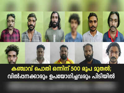 കഞ്ചാവ് പൊതി ഒന്നിന് 500 രൂപ മുതല്‍; വില്‍പ്പനക്കാരും ഉപയോഗിച്ചവരും പിടിയില്‍