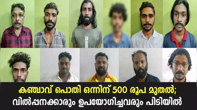 കഞ്ചാവ് പൊതി ഒന്നിന് 500 രൂപ മുതല്‍; വില്‍പ്പനക്കാരും ഉപയോഗിച്ചവരും പിടിയില്‍