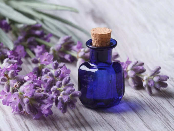 लैवेंडर का तेल (Lavender oil)