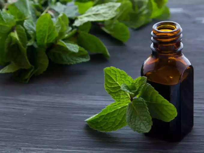 पुदीने का तेल (Peppermint oil)