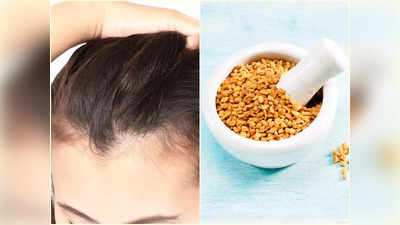 Methi Hair Packs: চুল উঠে উঠে মাথার সামনে ফাঁকা হয়ে যাচ্ছে? এভাবে মেথি লাগাতে পারলেই কাজ হবে ম্যাজিকের মতো!