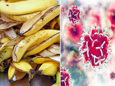 Health Benefits Of Banana Peel: কলার খোসা প্রতিরোধ করে ক্যানসারের ঝুঁকি, পুষ্টিবিদের থেকে জেনে নিন এর আশ্চর্য উপকারিতা