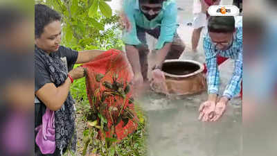 Jalpaiguri News: হারাতে বসেছে স্থানীয় মাছ! জলঢাকা নদীতে ছাড়া হল ১৫ কেজি চারা পোনা