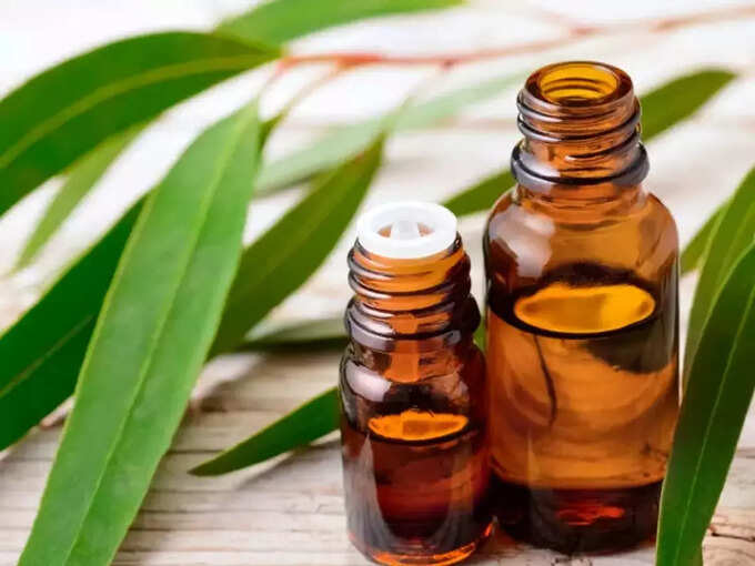 Eucalyptus oil