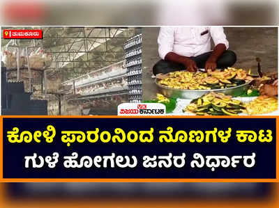 ಒಂದು ಕೋಳಿ ಫಾರಂನಿಂದ 20 ಹಳ್ಳಿಗಳಿಗೆ ಕಾಟ: ಸಾಂಕ್ರಮಿಕ ರೋಗದ ಭಯದಿಂದ ಗುಳೆ ಹೋಗಲು ನಿರ್ಧರಿಸಿದ ಗ್ರಾಮಸ್ಥರು