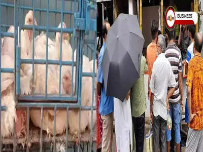 Market Price Today: ফের দাম বাড়ল চিকেনের, দেখে নেওয়া যাক বাজারদর