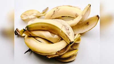 Banana Peel Flour | പഴത്തൊലി കളയരുതേ.. ഉണക്കി പൊടിച്ച് ഭക്ഷണത്തിൽ ചേർത്താൽ ഗുണമേറെ