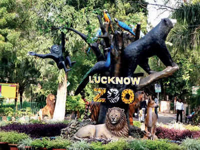 Lucknow Zoo : लखनऊ चिड़ियाघर की जगह बदलेगी, सैलानी वर्ल्ड क्लास नाइट सफारी का उठा पाएंगे लुत्फ