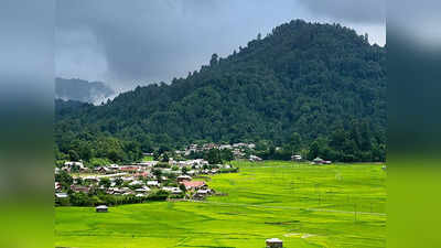 Ziro Festival Of Music : ഇതൊക്കെക്കൊണ്ടാണ് നിങ്ങള്‍ സീറോ ഫെസ്റ്റിവല്‍ ഓഫ് മ്യൂസിക്കിന് പോകേണ്ടത്!