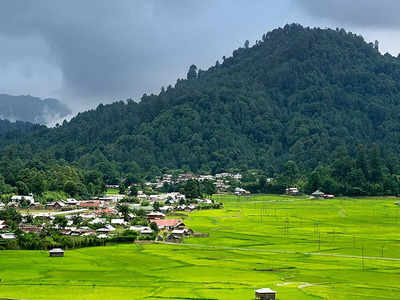 Ziro Festival Of Music : ഇതൊക്കെക്കൊണ്ടാണ് നിങ്ങള്‍ സീറോ ഫെസ്റ്റിവല്‍ ഓഫ് മ്യൂസിക്കിന് പോകേണ്ടത്!