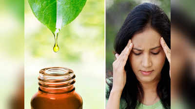 Home Remedies For Headache: মাঝে মাঝেই মাথা ধরে? এই ৫ ধরনের তেল ব্যবহার করলেই পাবেন মুক্তি!