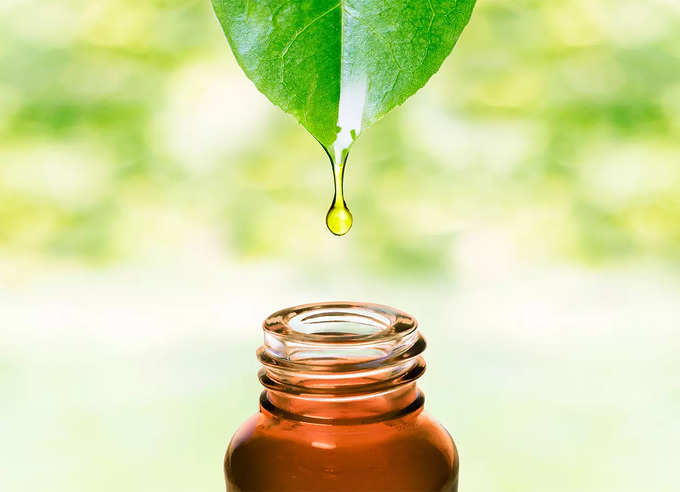 ​ইউক্যালিপটাস তেল-Eucalyptus oil