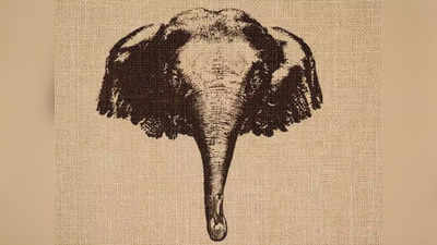 Optical Illusion Image: हंस या हाथी... जीनियस लोग ही इस फोटो में दोनों को देख पाएंगे, आपको क्या दिखा?