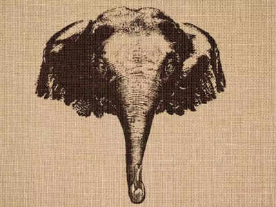 इस फोटो में सिर्फ हाथी दिख रहा है, तो भैया... आपको दिमाग चलाने की जरूरत है!