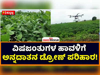 Drone in Agriculture: ಮಳೆಗೆ ಎದೆ ಎತ್ತರಕ್ಕೆ ಬೆಳೆದ ಬೆಳೆ, ಕೃಷಿಗೆ ವಿಷಜಂತುಗಳ ಕಾಟ! ರೈತನಿಂದ ಡ್ರೋಣ್‌ ಬಳಕೆ