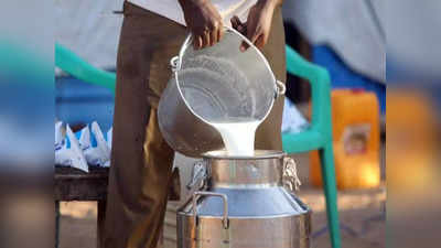 Milk Prices: పాలు తక్కువ రేటుకి దొరికేది అక్కడే.. మిగిలిన అన్ని ప్రాంతాల కంటే రూ.16 తక్కువ! 