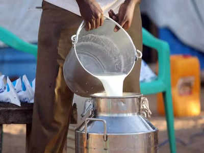 Milk Prices: పాలు తక్కువ రేటుకి దొరికేది అక్కడే.. మిగిలిన అన్ని ప్రాంతాల కంటే రూ.16 తక్కువ!