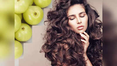 Amla For Hair :நெல்லிக்காய் கூந்தலுக்கு நல்லதா. ஆயுர்வேதம் என்ன சொல்லுது தெரியுமா?