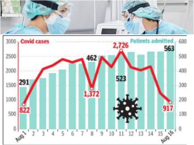 patiend chart